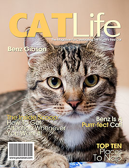 Personalized Cat Magazine Cover