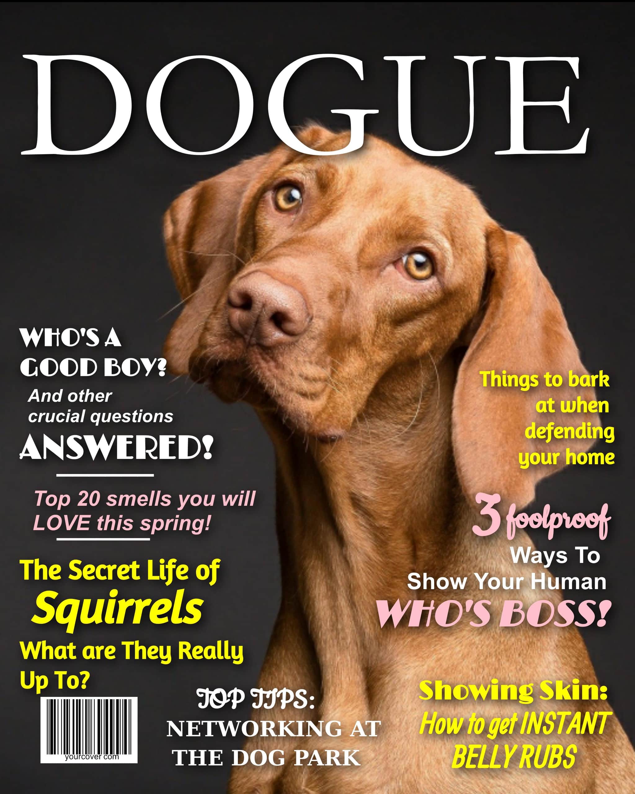 Dogue
