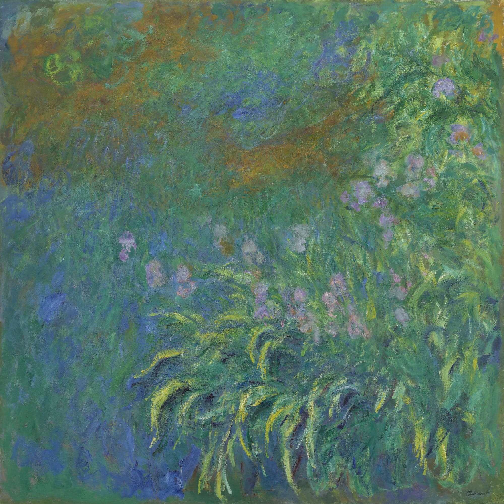 Irises, by Claude Monet, 1914–17