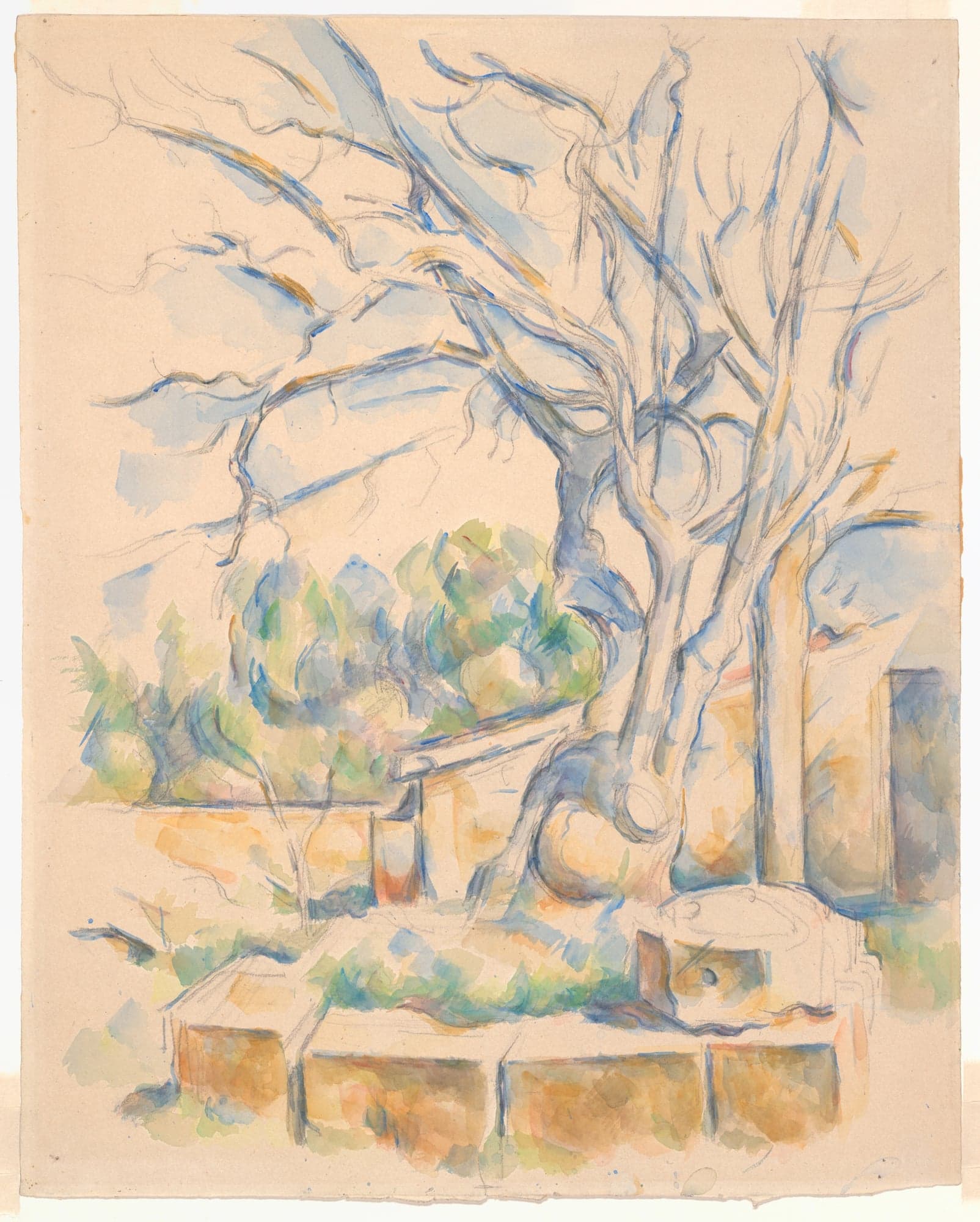 Pistachio Tree at Château Noir, by Paul Cezanne, c. 1900