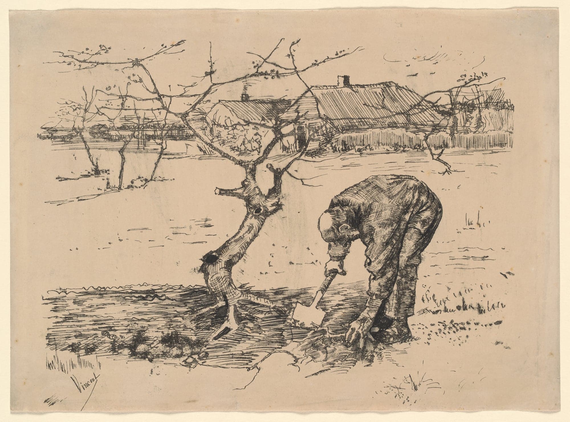 Gardener by an Apple Tree, by Vincent van Gogh, mid-July, 1883