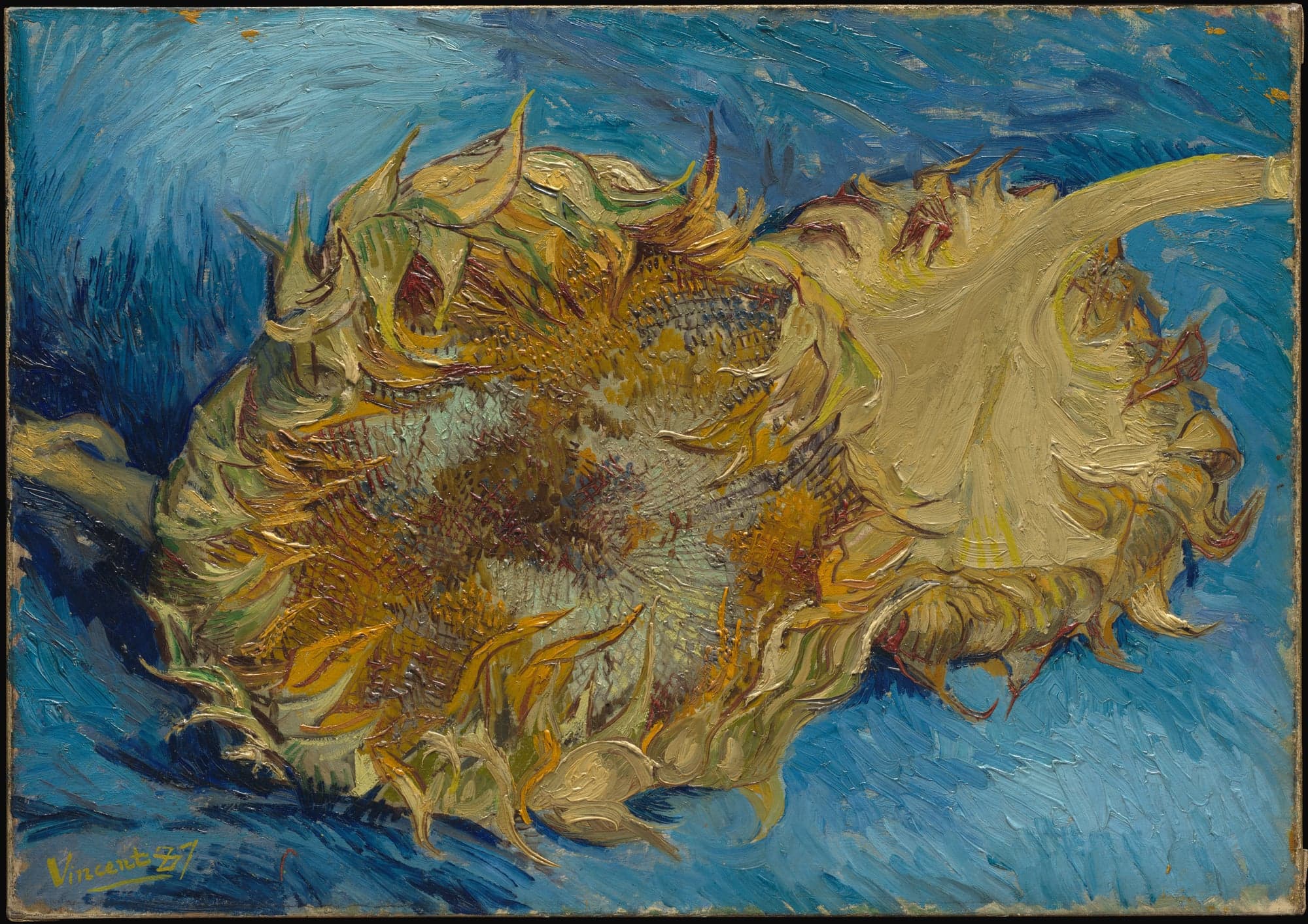 Sunflowers, by Vincent van Gogh, 1887