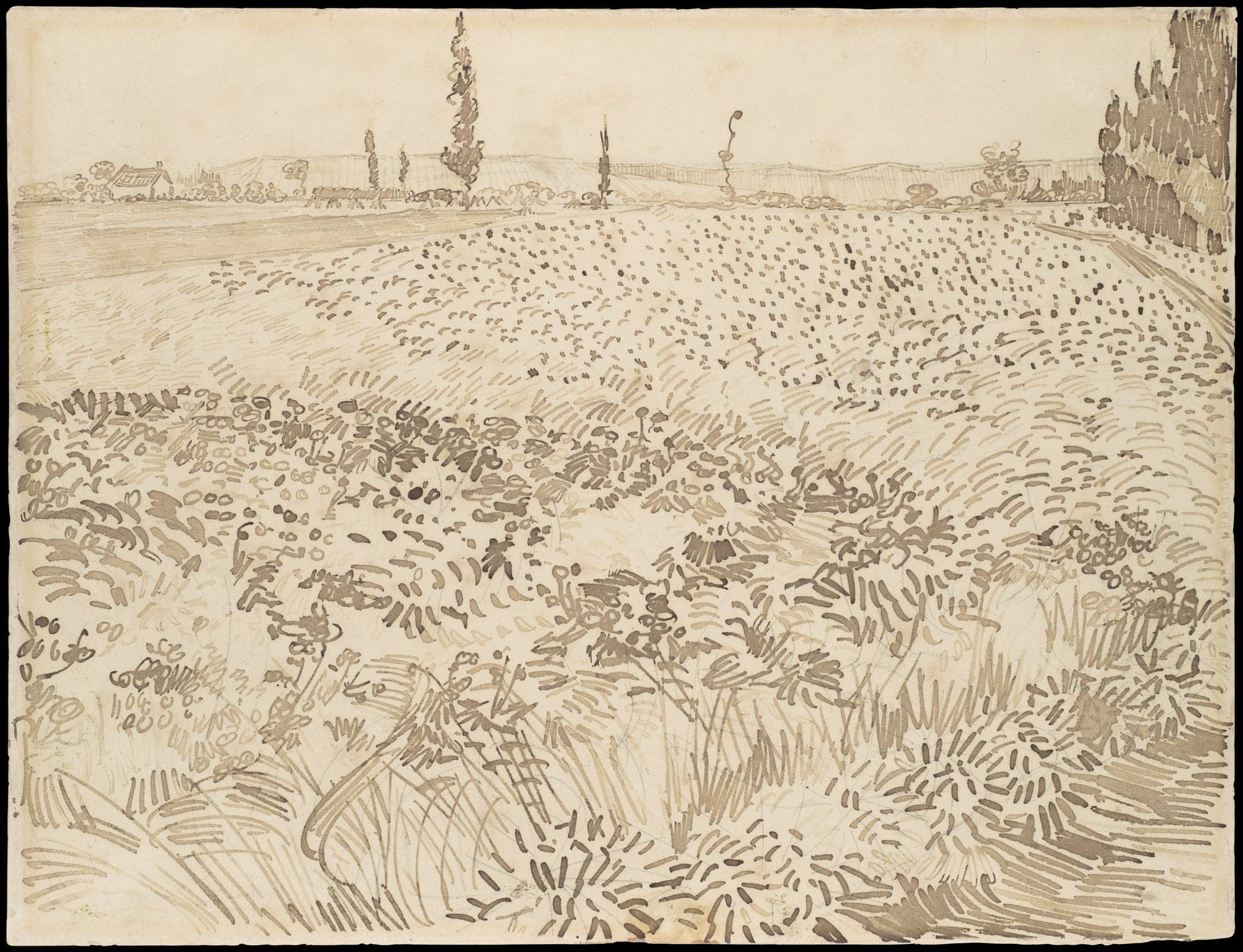 Wheat Field, by Vincent van Gogh, July 1888