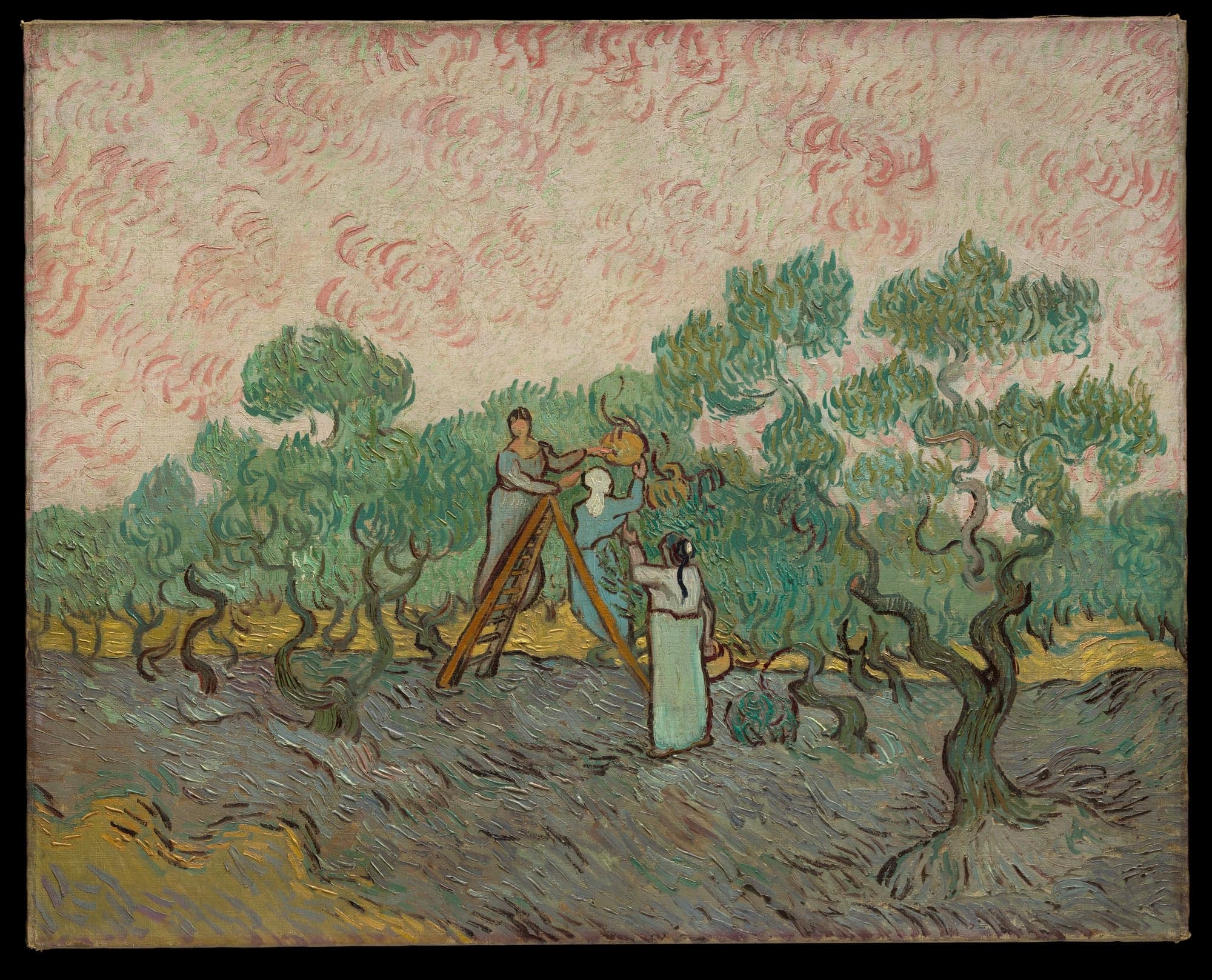 Women Picking Olives, by Vincent van Gogh, 1889