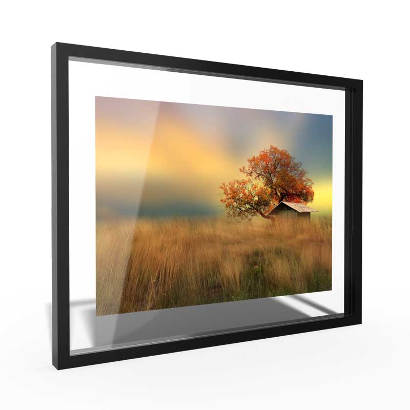 High-gloss acrylic art print floating off a modern interior wall, with vivid color depth and a clean edge