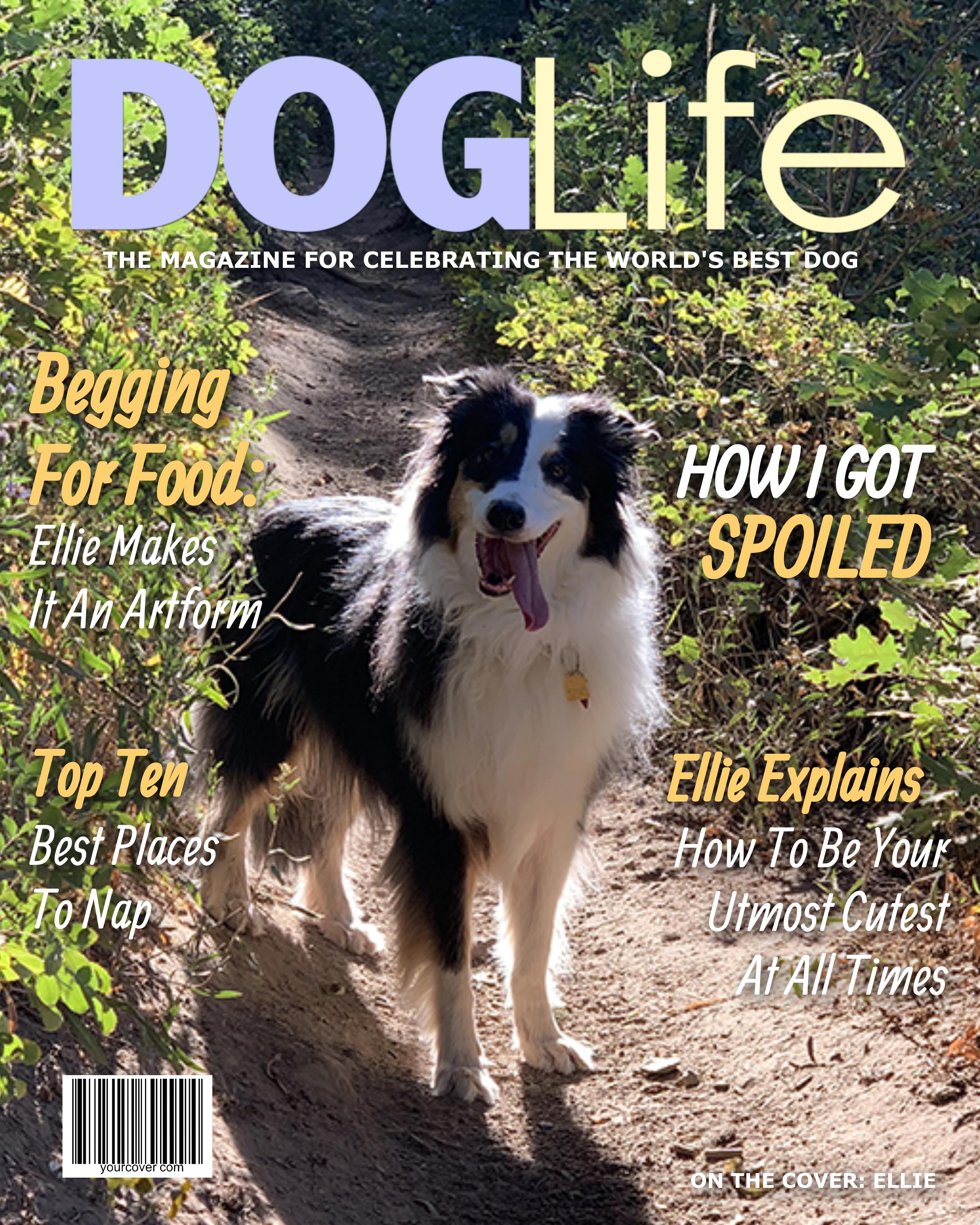 Personalized Dog Magazine Cover