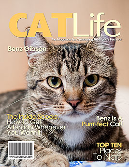 Cat Life YourCover