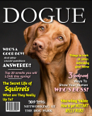 Dogue Fake Magazine Cover