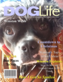 February 2015 YourCover